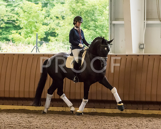 IMGP1029